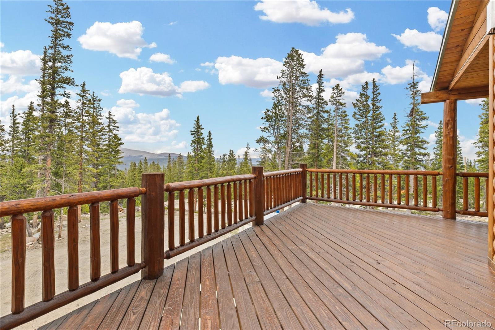 MLS Image #30 for 181  valley of the sun drive,fairplay, Colorado