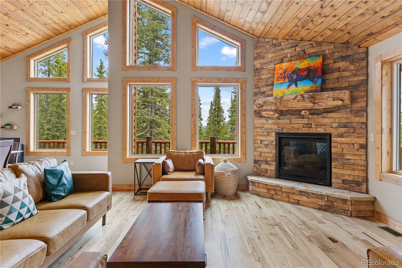 MLS Image #4 for 181  valley of the sun drive,fairplay, Colorado