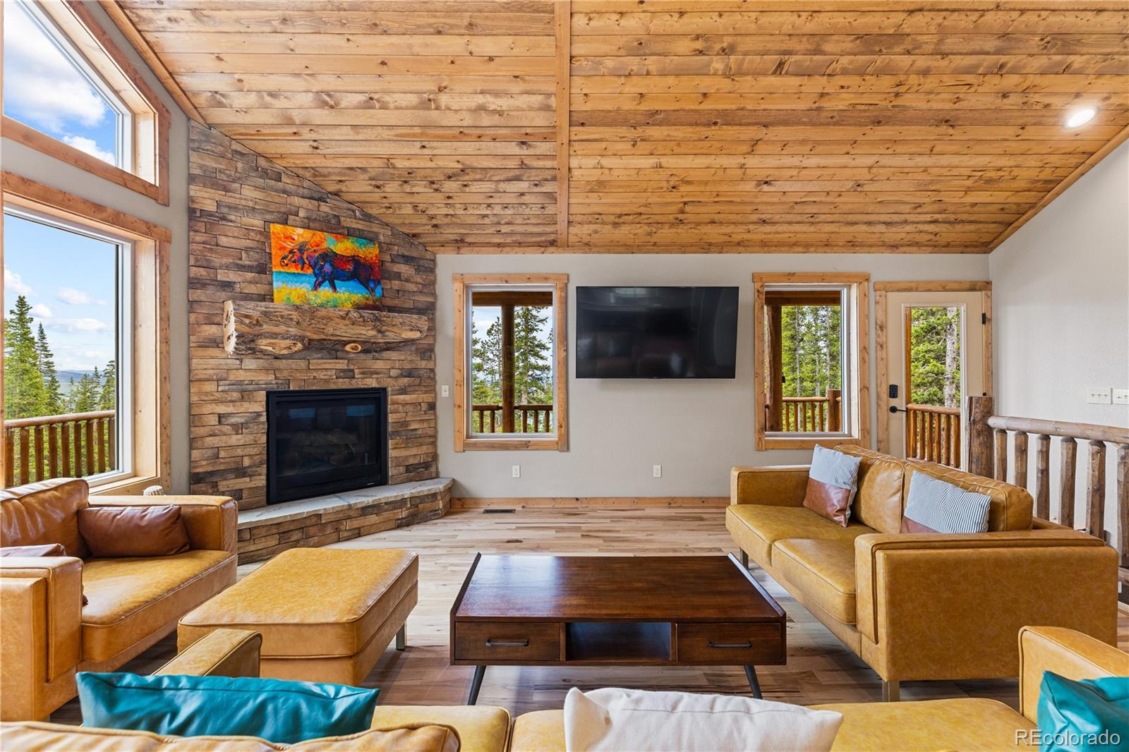 MLS Image #6 for 181  valley of the sun drive,fairplay, Colorado