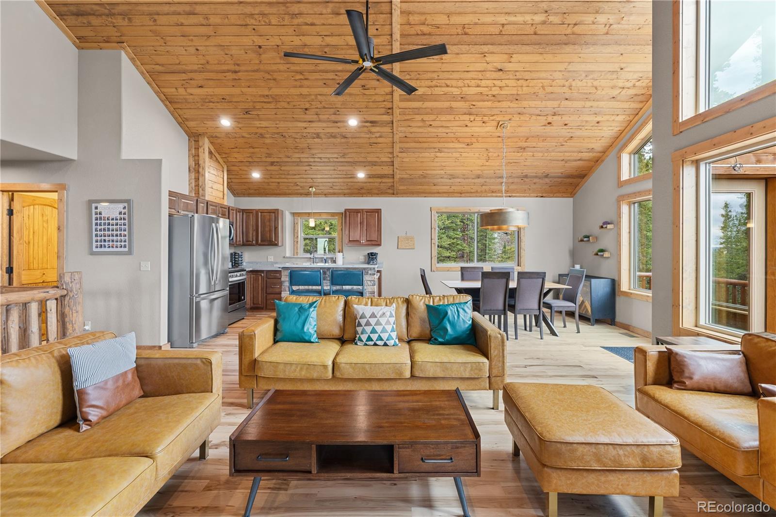 MLS Image #8 for 181  valley of the sun drive,fairplay, Colorado