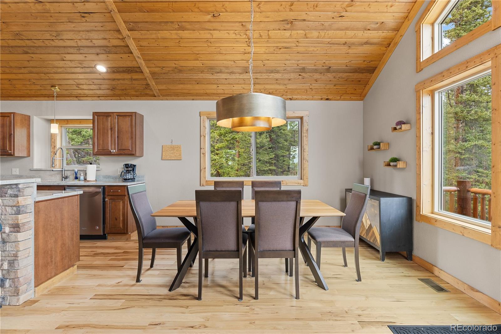 MLS Image #9 for 181  valley of the sun drive,fairplay, Colorado