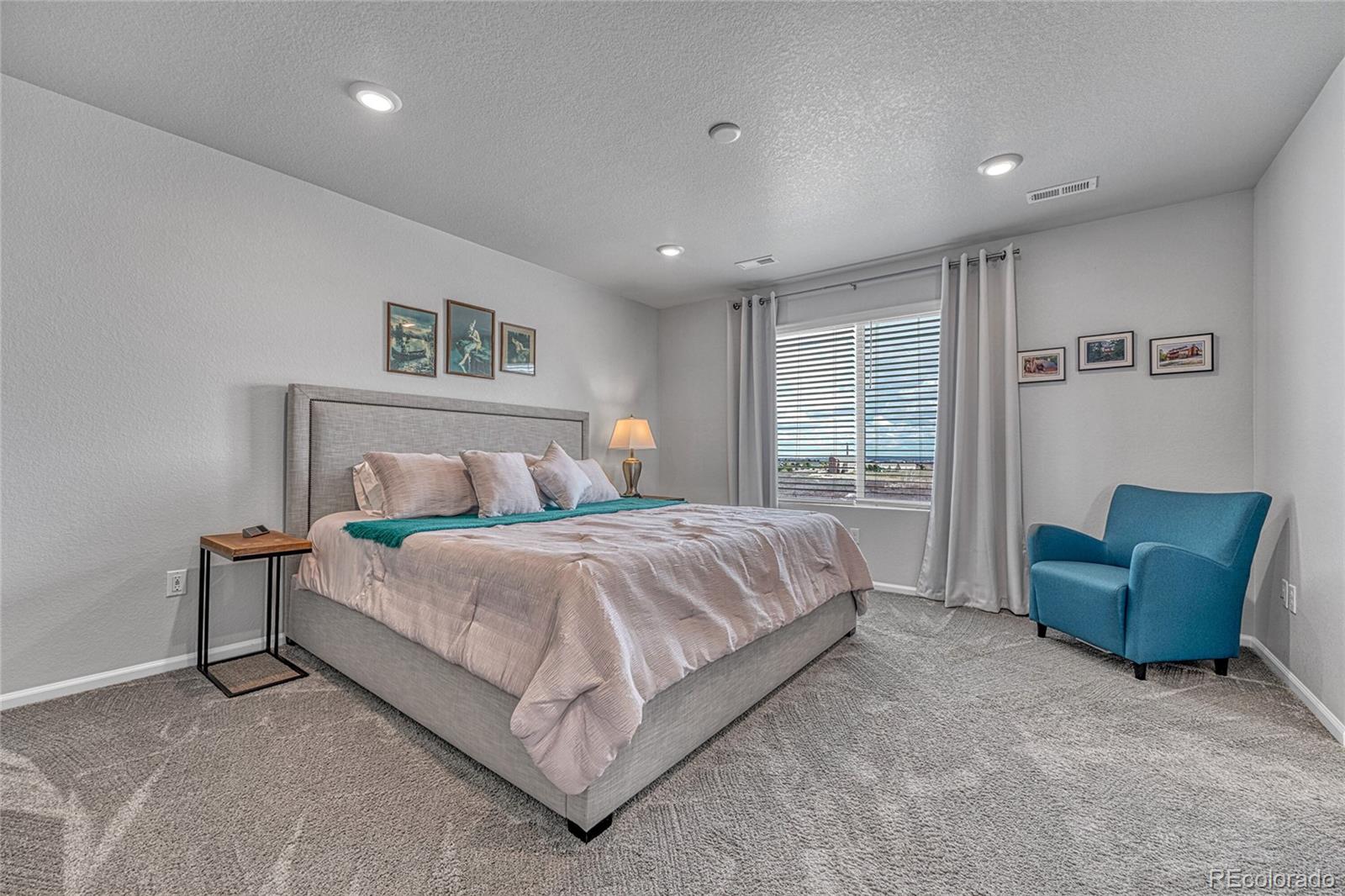 MLS Image #21 for 604  silver rock trail,castle rock, Colorado