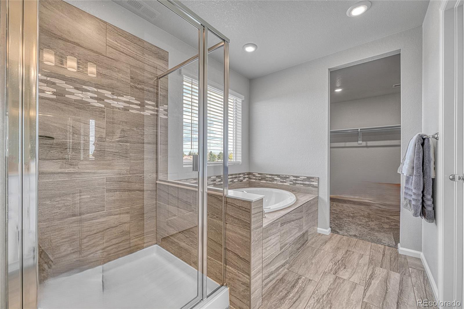 MLS Image #26 for 604  silver rock trail,castle rock, Colorado