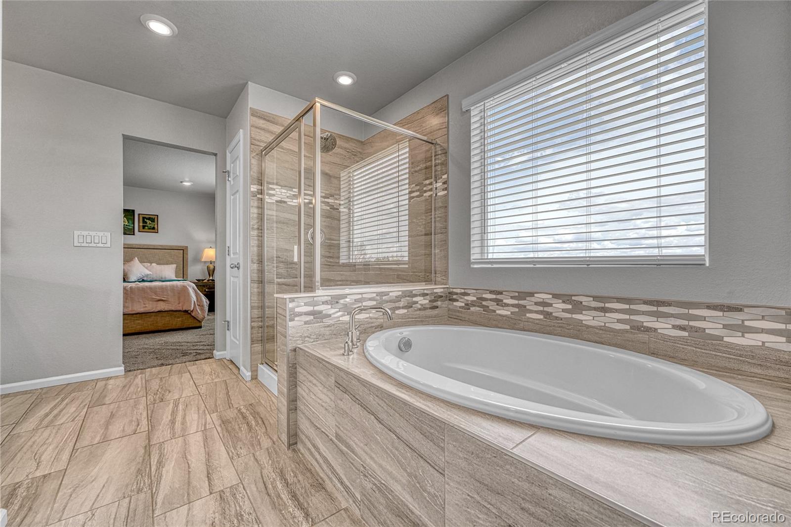 MLS Image #27 for 604  silver rock trail,castle rock, Colorado
