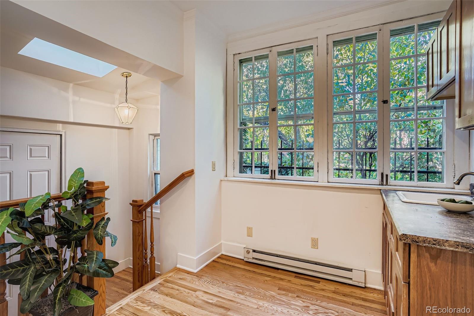 MLS Image #12 for 707 n corona street,denver, Colorado