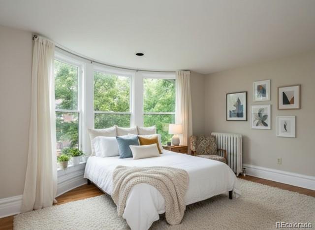 MLS Image #24 for 707 n corona street,denver, Colorado
