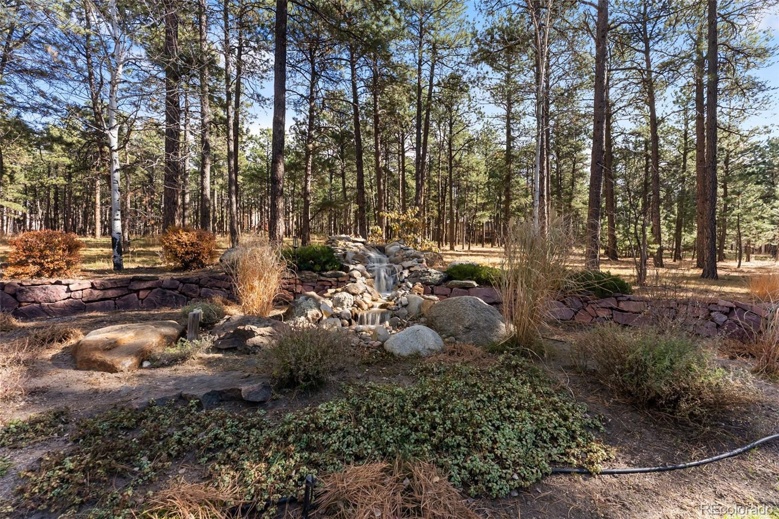 MLS Image #5 for 18825  pagentry place,monument, Colorado