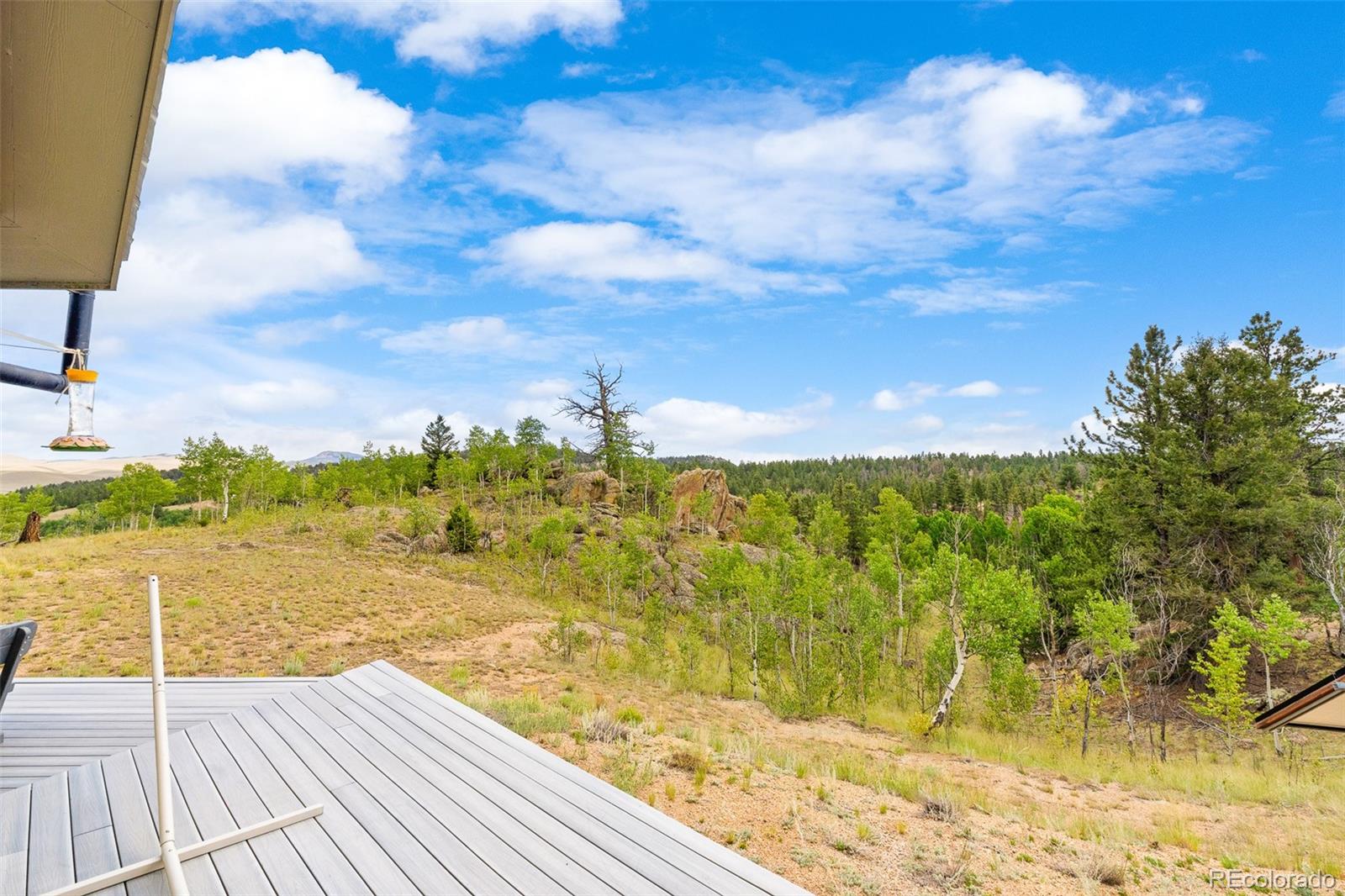 MLS Image #11 for 65  riata run,hartsel, Colorado