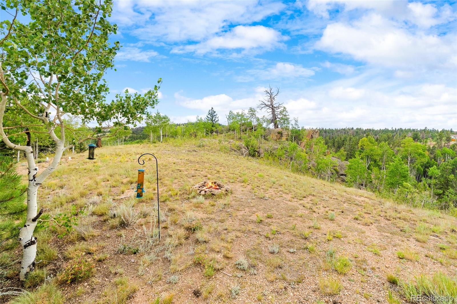 MLS Image #12 for 65  riata run,hartsel, Colorado