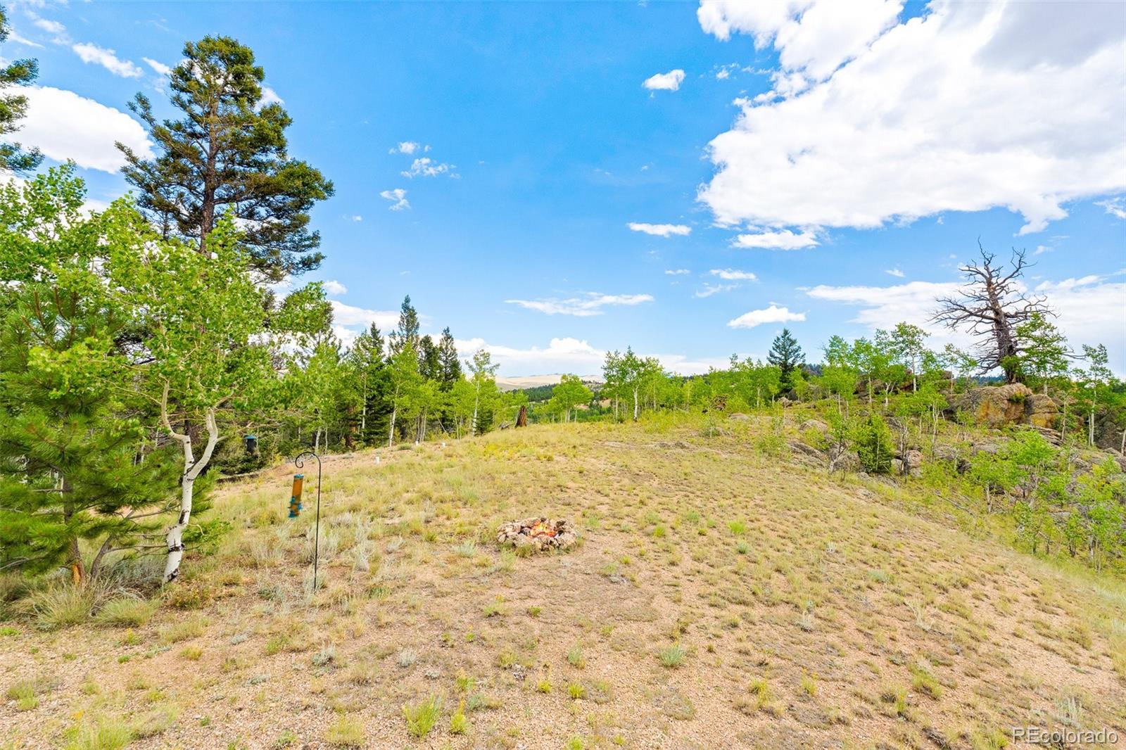 MLS Image #13 for 65  riata run,hartsel, Colorado