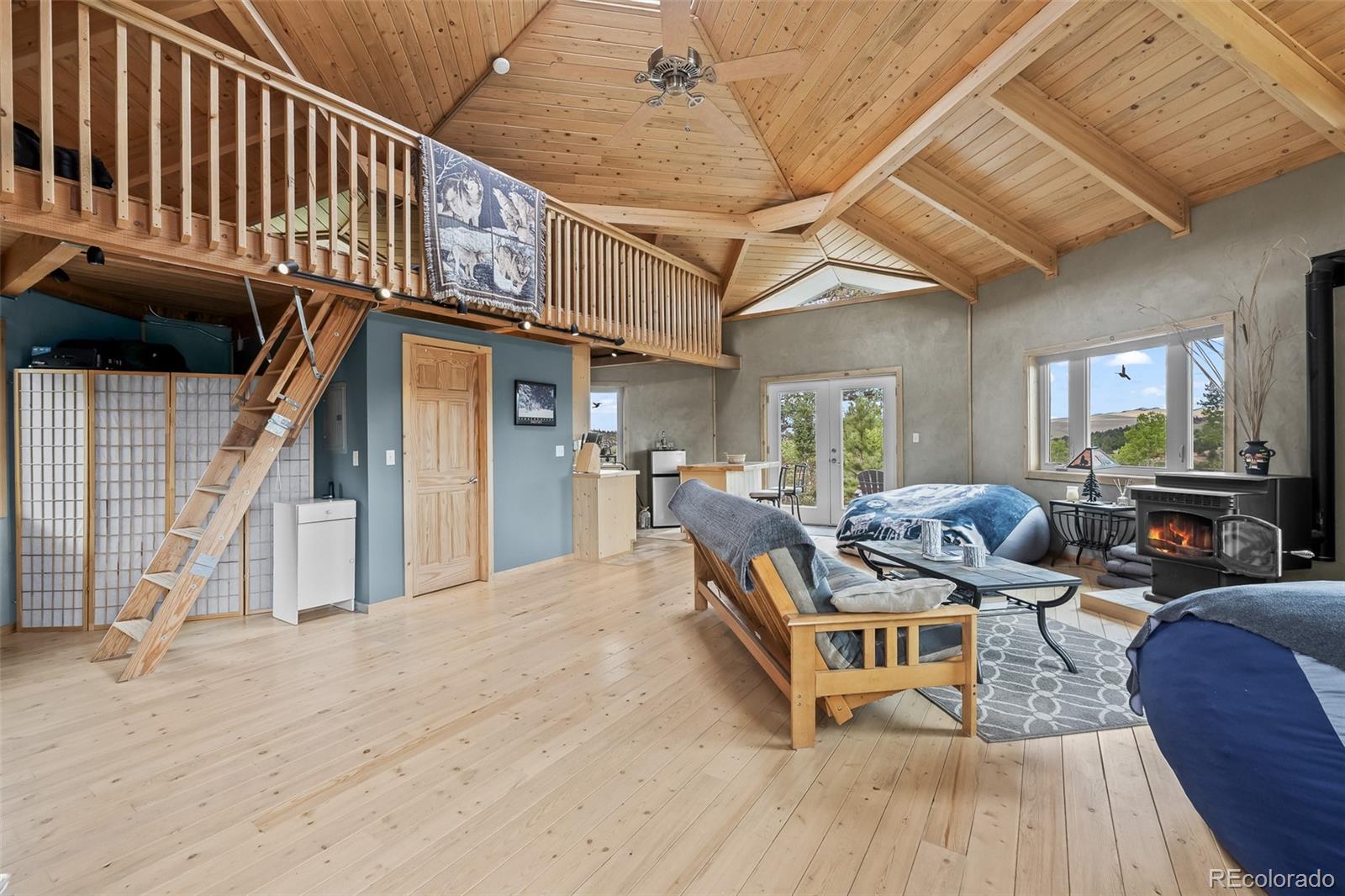 MLS Image #15 for 65  riata run,hartsel, Colorado