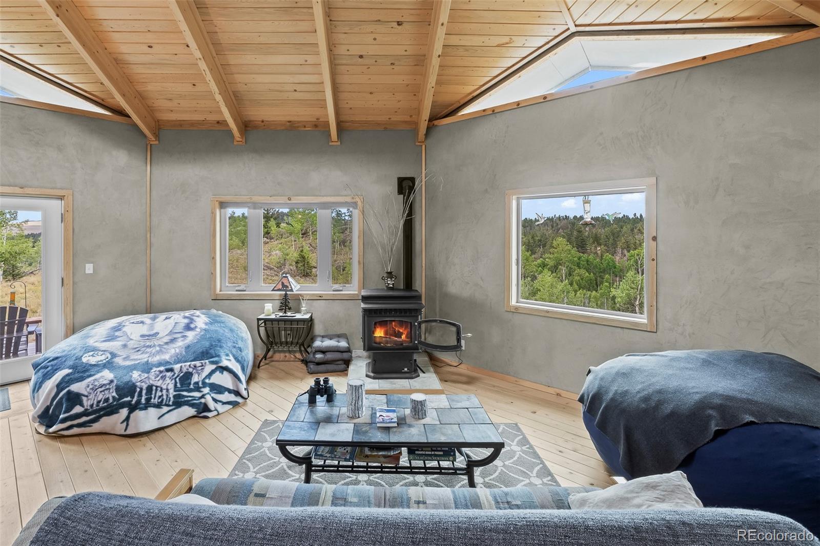 MLS Image #17 for 65  riata run,hartsel, Colorado