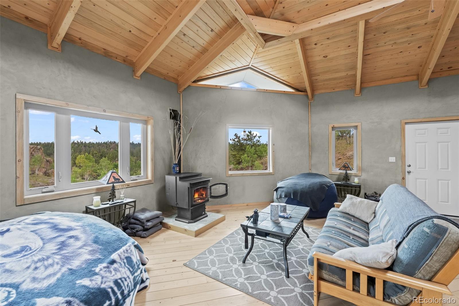 MLS Image #18 for 65  riata run,hartsel, Colorado