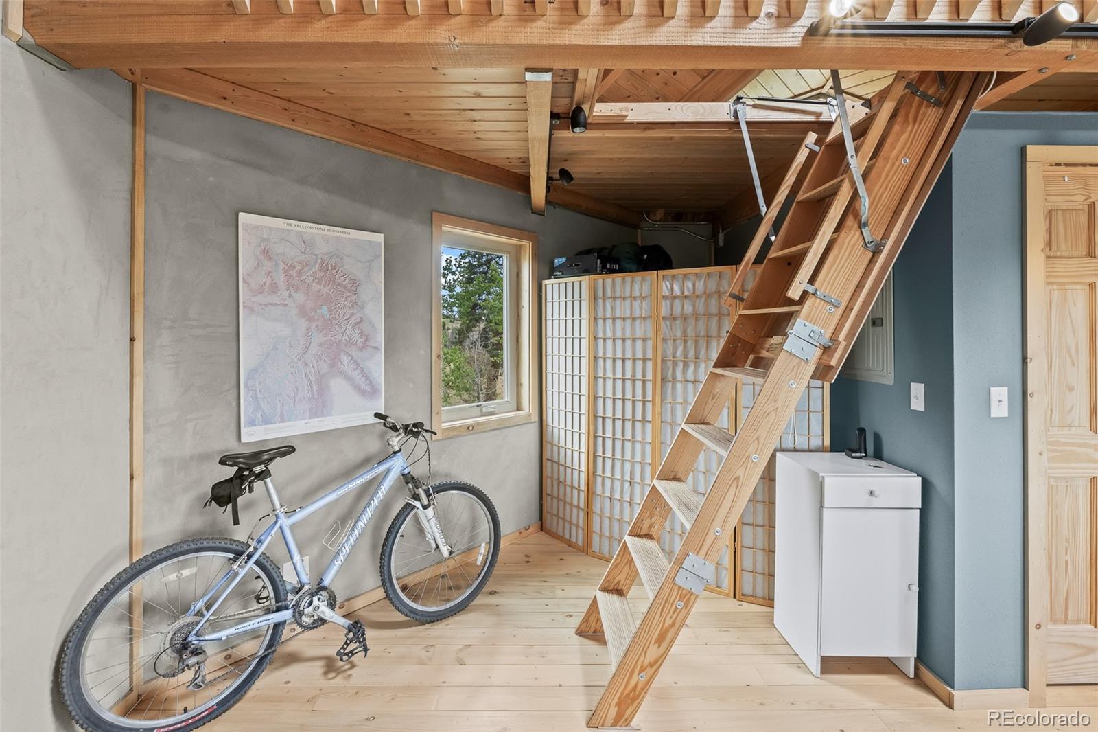 MLS Image #21 for 65  riata run,hartsel, Colorado