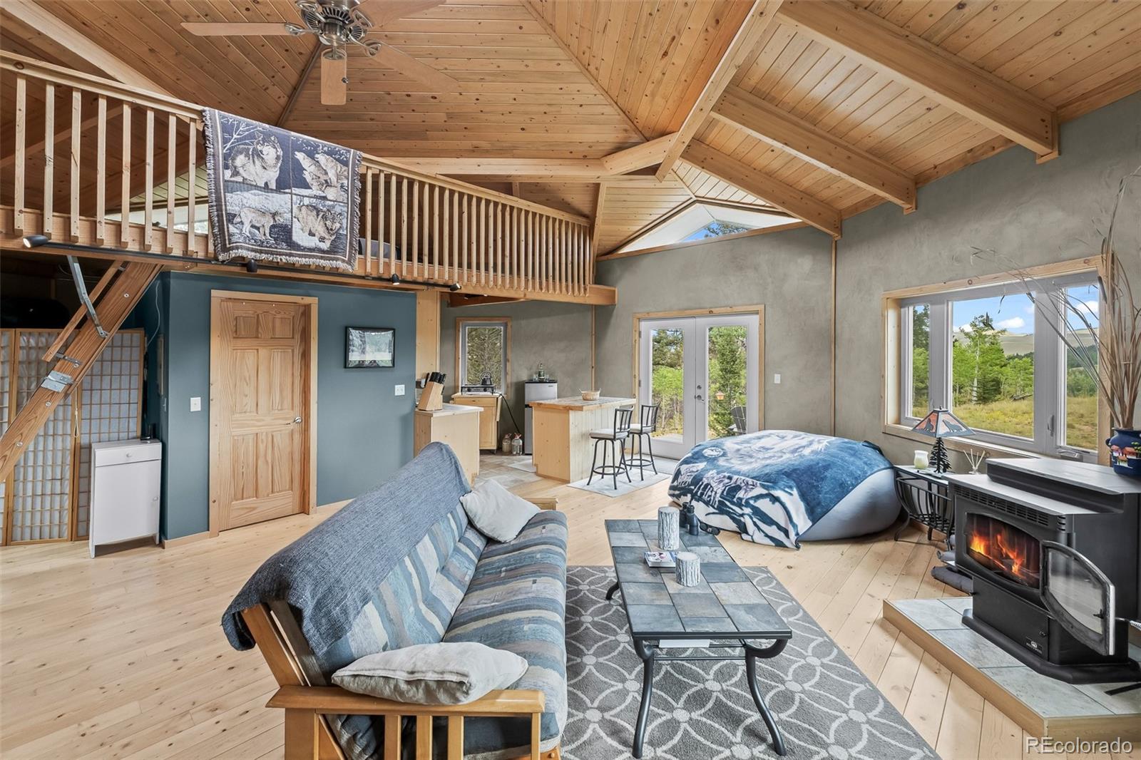 MLS Image #24 for 65  riata run,hartsel, Colorado