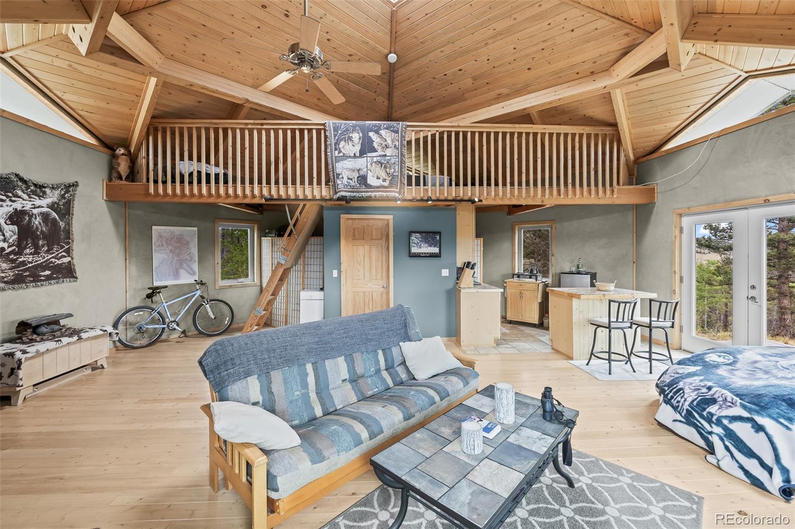 MLS Image #25 for 65  riata run,hartsel, Colorado