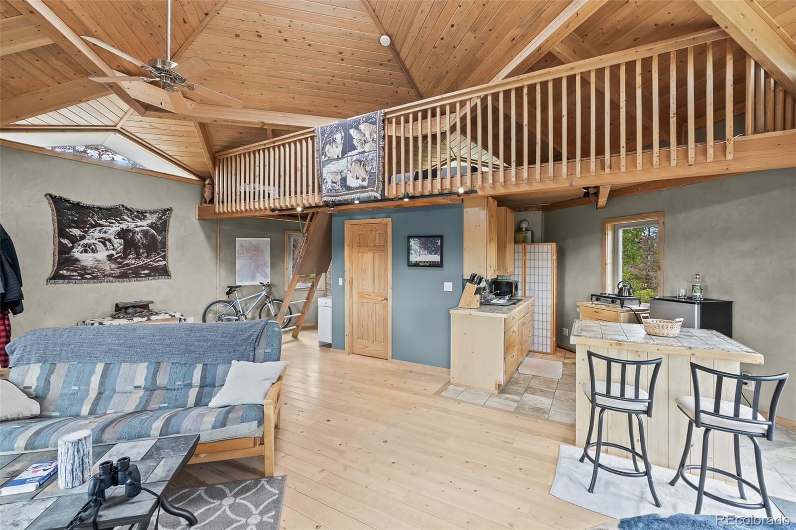 MLS Image #26 for 65  riata run,hartsel, Colorado