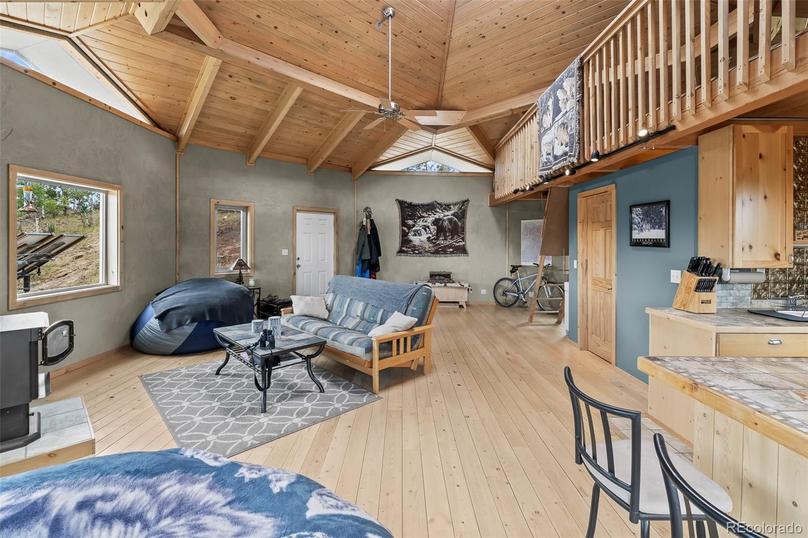 MLS Image #30 for 65  riata run,hartsel, Colorado