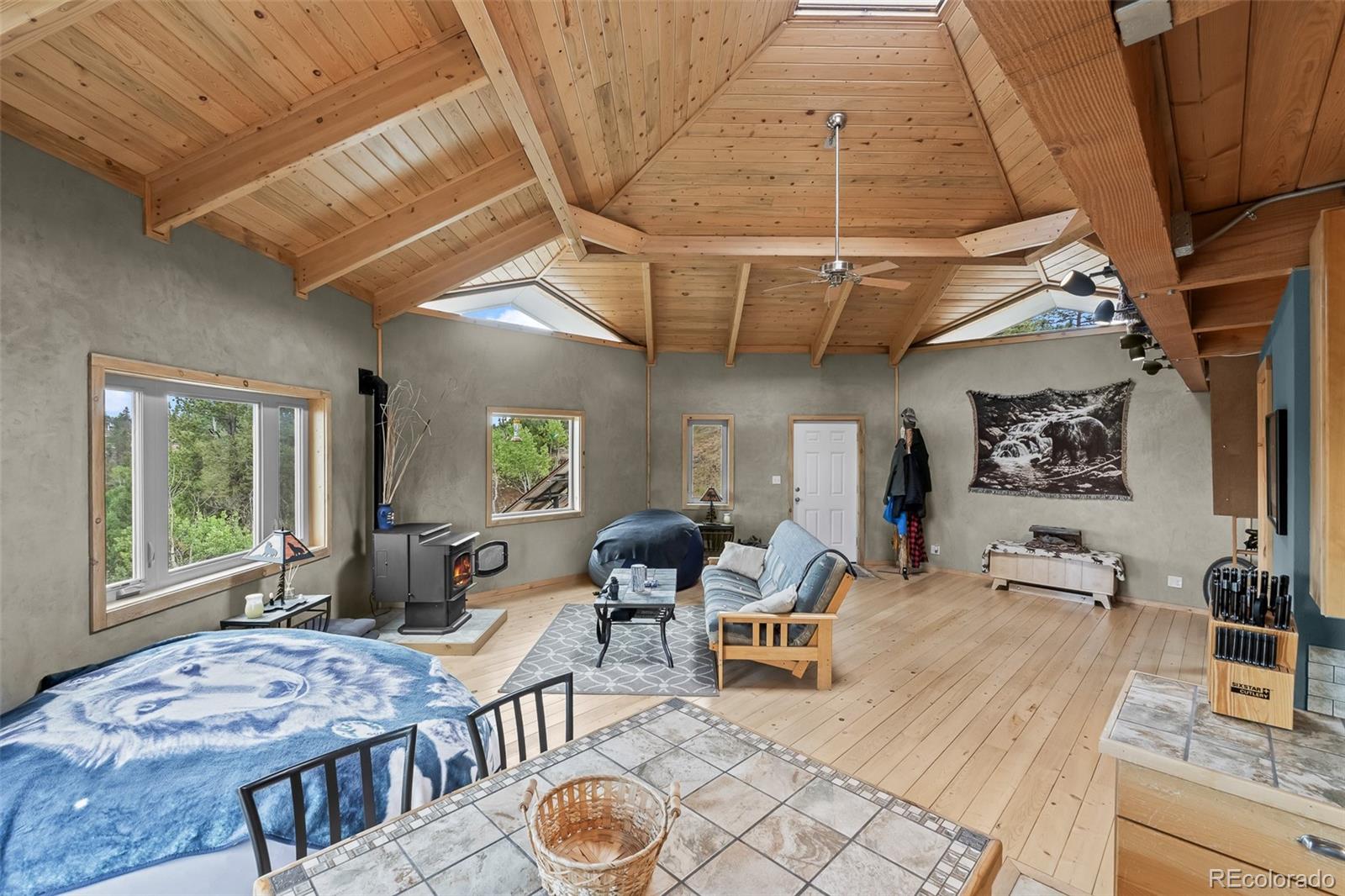 MLS Image #31 for 65  riata run,hartsel, Colorado
