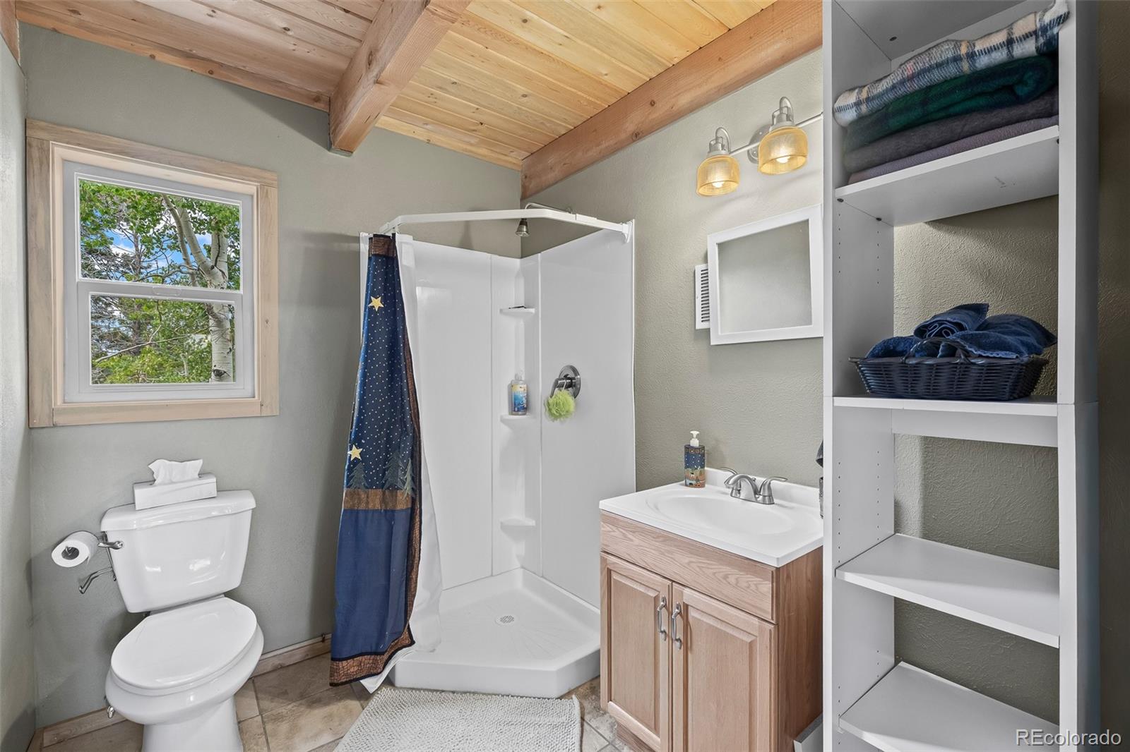 MLS Image #38 for 65  riata run,hartsel, Colorado