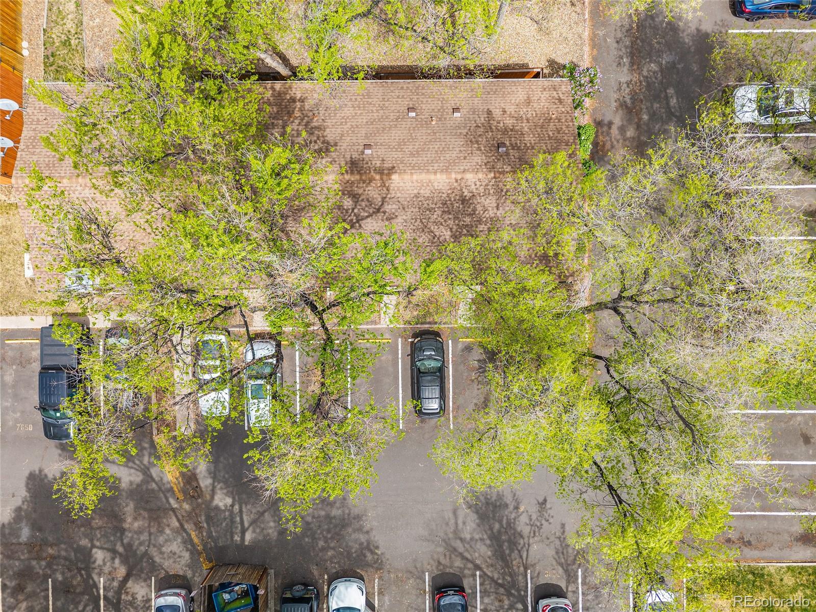 MLS Image #25 for 749  alexander road,colorado springs, Colorado