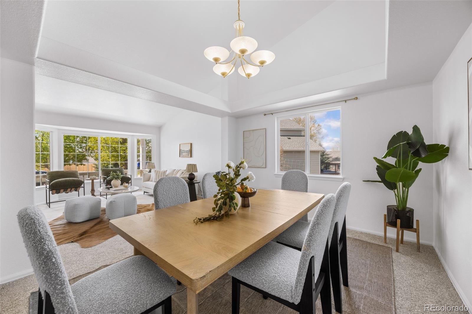 MLS Image #11 for 11183  glenmoor court,parker, Colorado