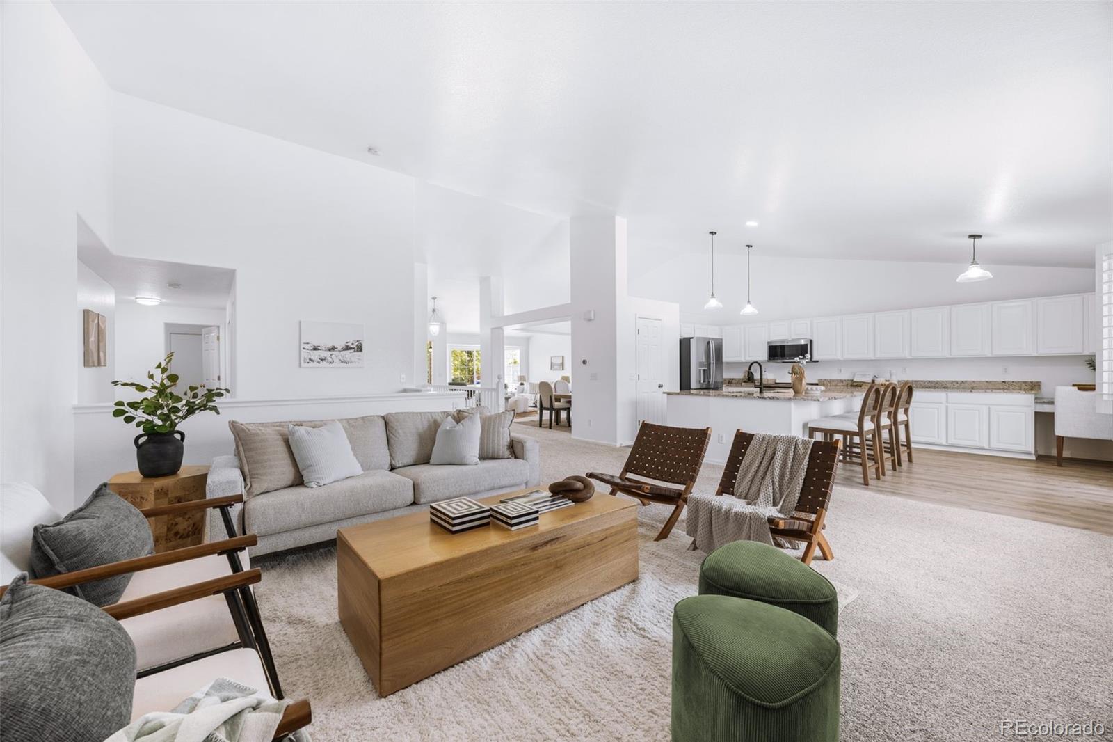 MLS Image #17 for 11183  glenmoor court,parker, Colorado