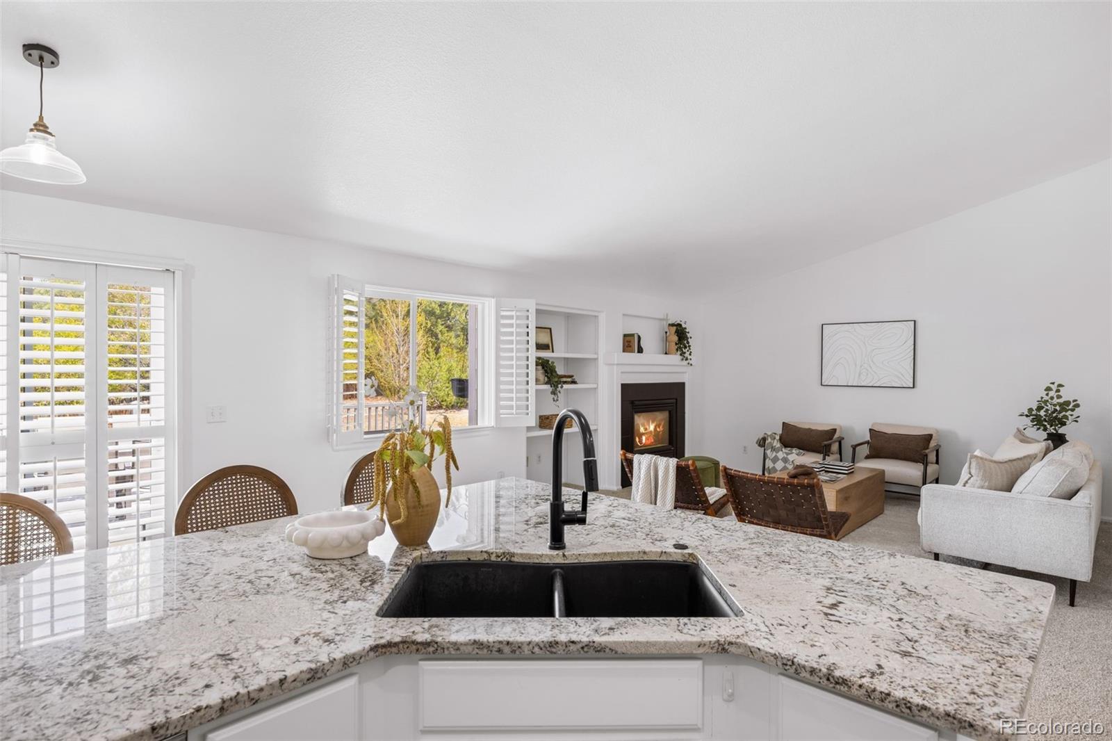 MLS Image #24 for 11183  glenmoor court,parker, Colorado