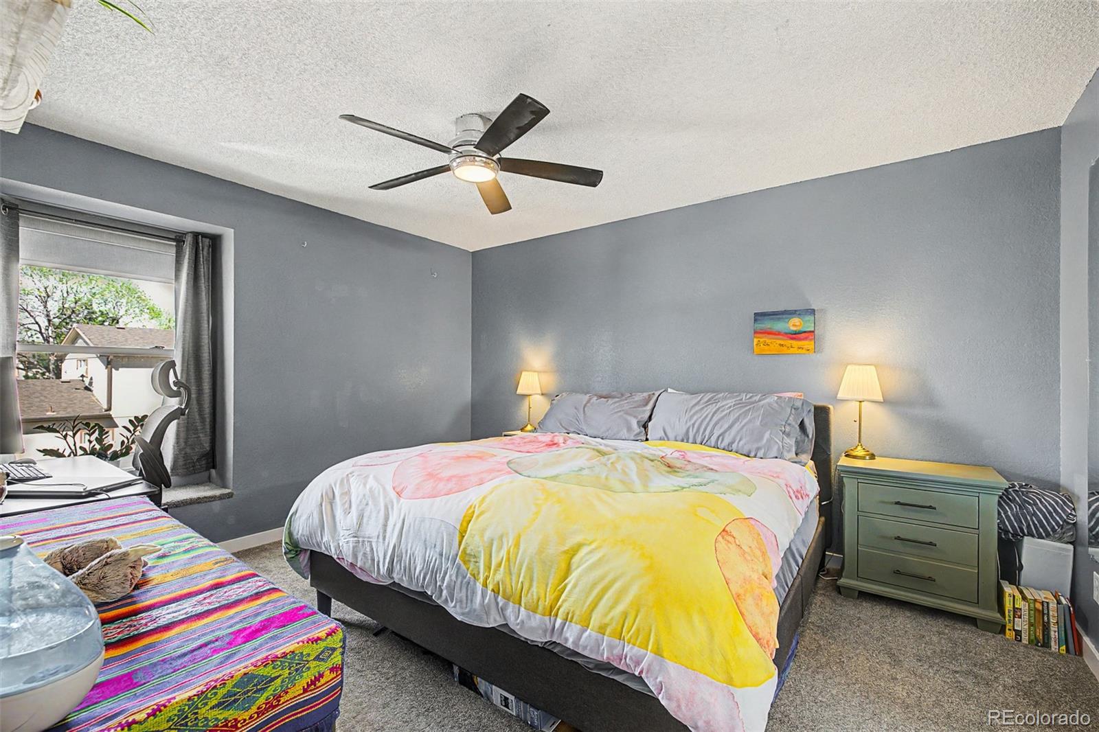 MLS Image #15 for 2427  rainbow drive,denver, Colorado