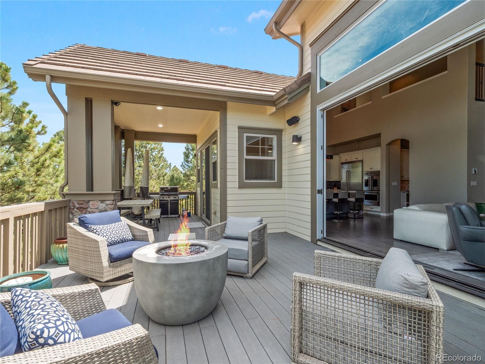 MLS Image #14 for 6281  oxford peak place,castle rock, Colorado
