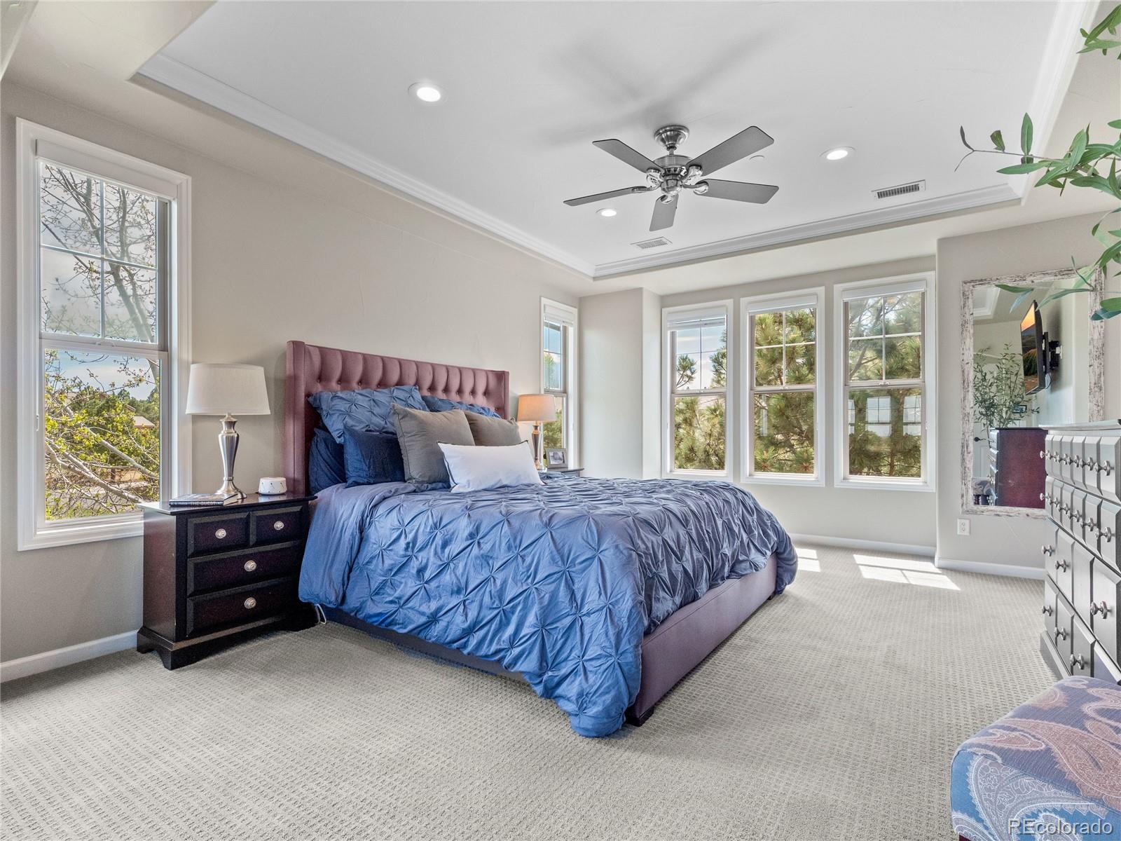 MLS Image #22 for 6281  oxford peak place,castle rock, Colorado