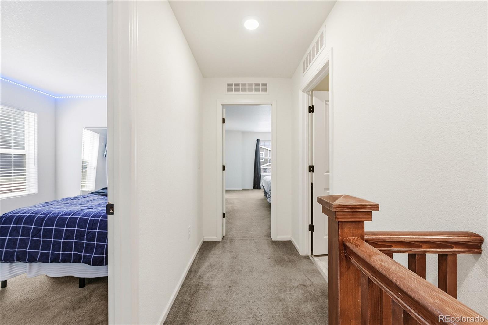 MLS Image #13 for 3594  happyheart way,castle rock, Colorado