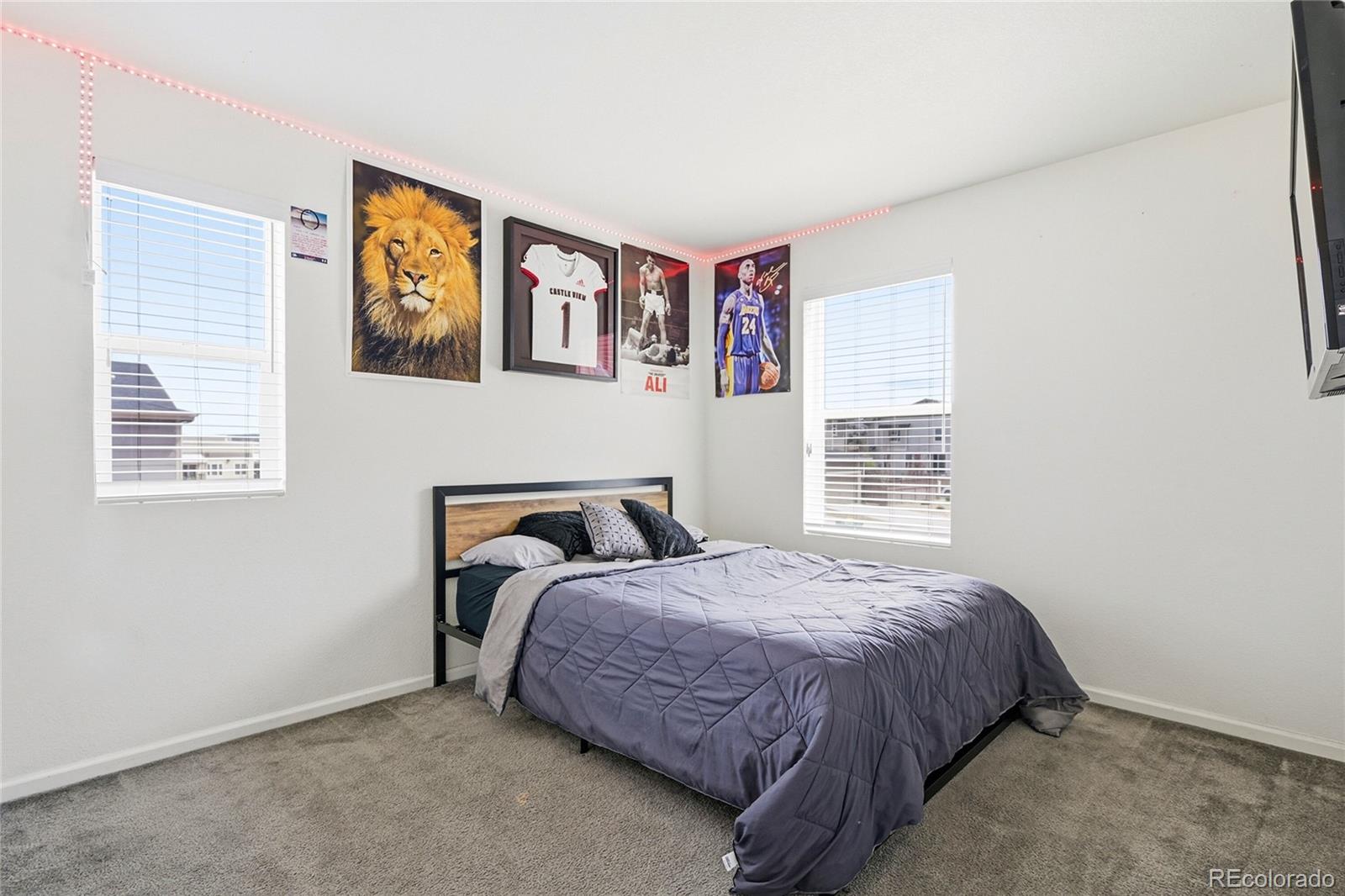 MLS Image #15 for 3594  happyheart way,castle rock, Colorado