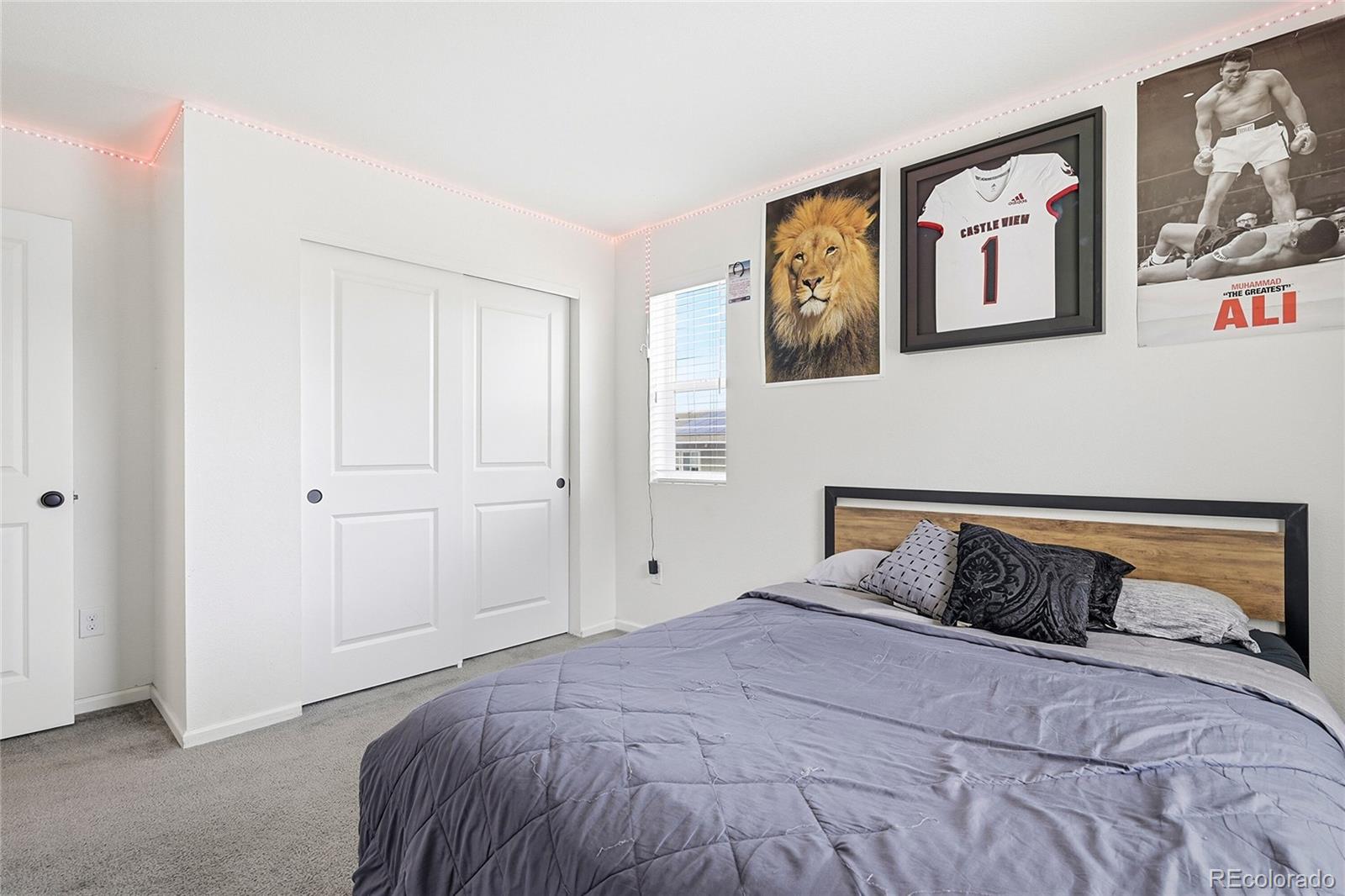 MLS Image #16 for 3594  happyheart way,castle rock, Colorado