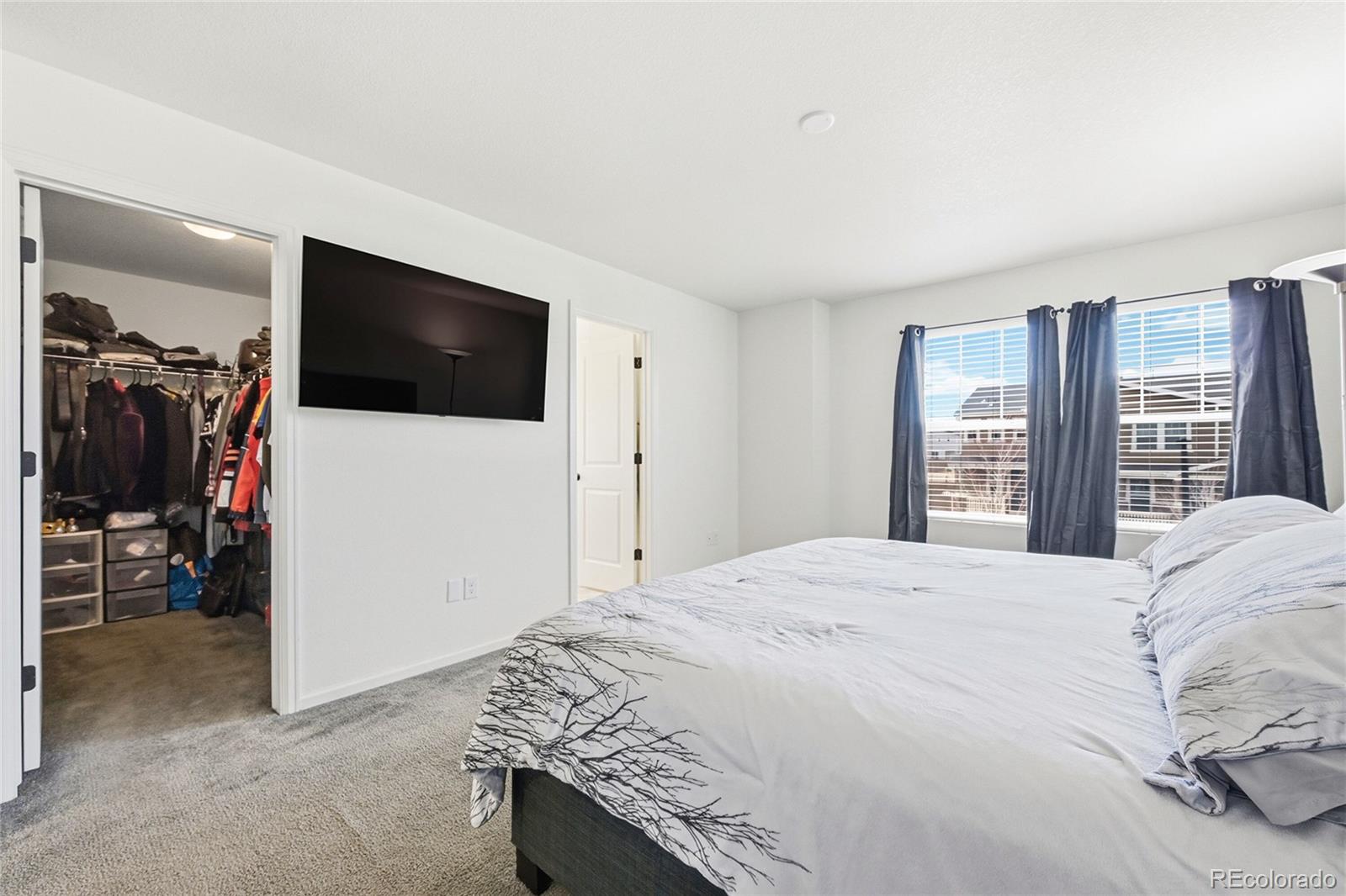 MLS Image #20 for 3594  happyheart way,castle rock, Colorado