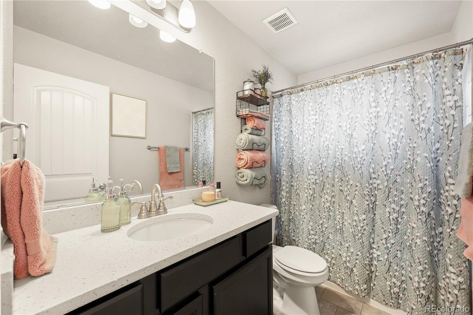 MLS Image #6 for 9902  emerald vista drive,peyton, Colorado