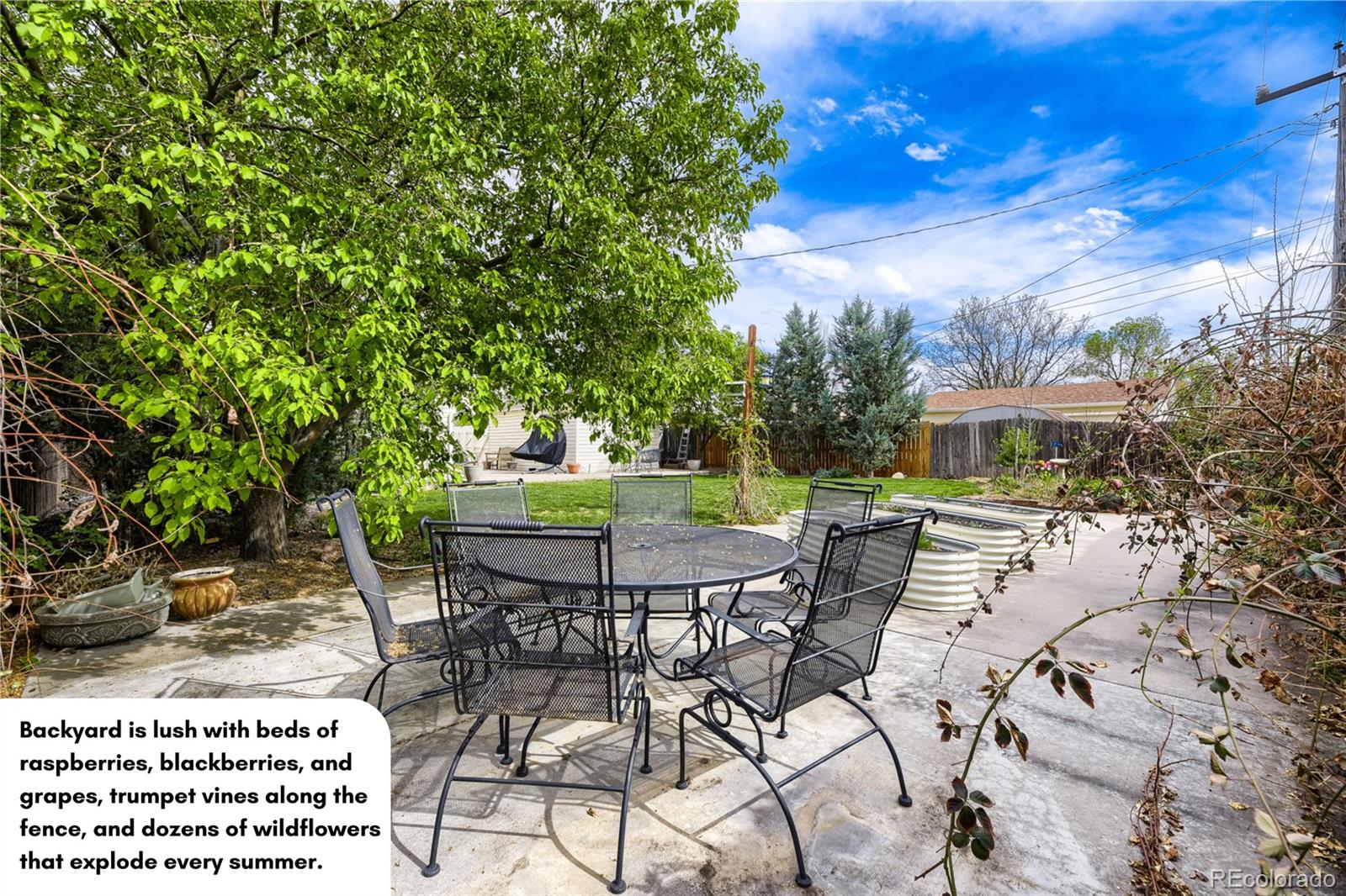 MLS Image #6 for 5611 s hickory street,littleton, Colorado