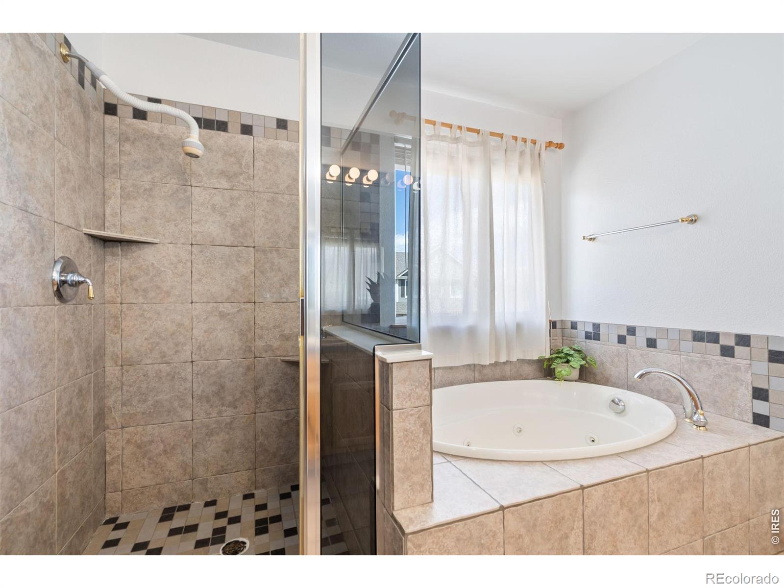 MLS Image #12 for 503  shadbury court,fort collins, Colorado