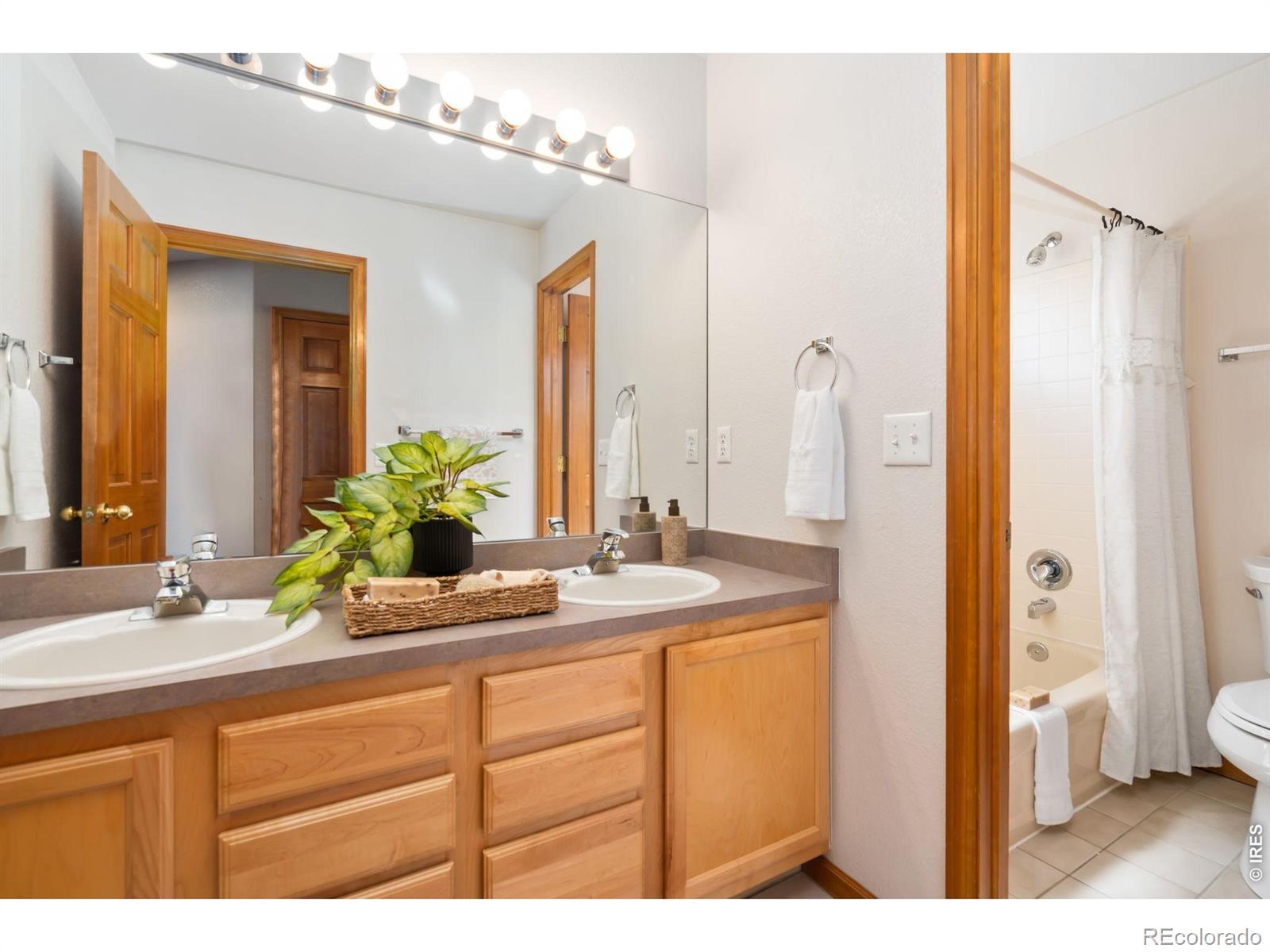 MLS Image #17 for 503  shadbury court,fort collins, Colorado
