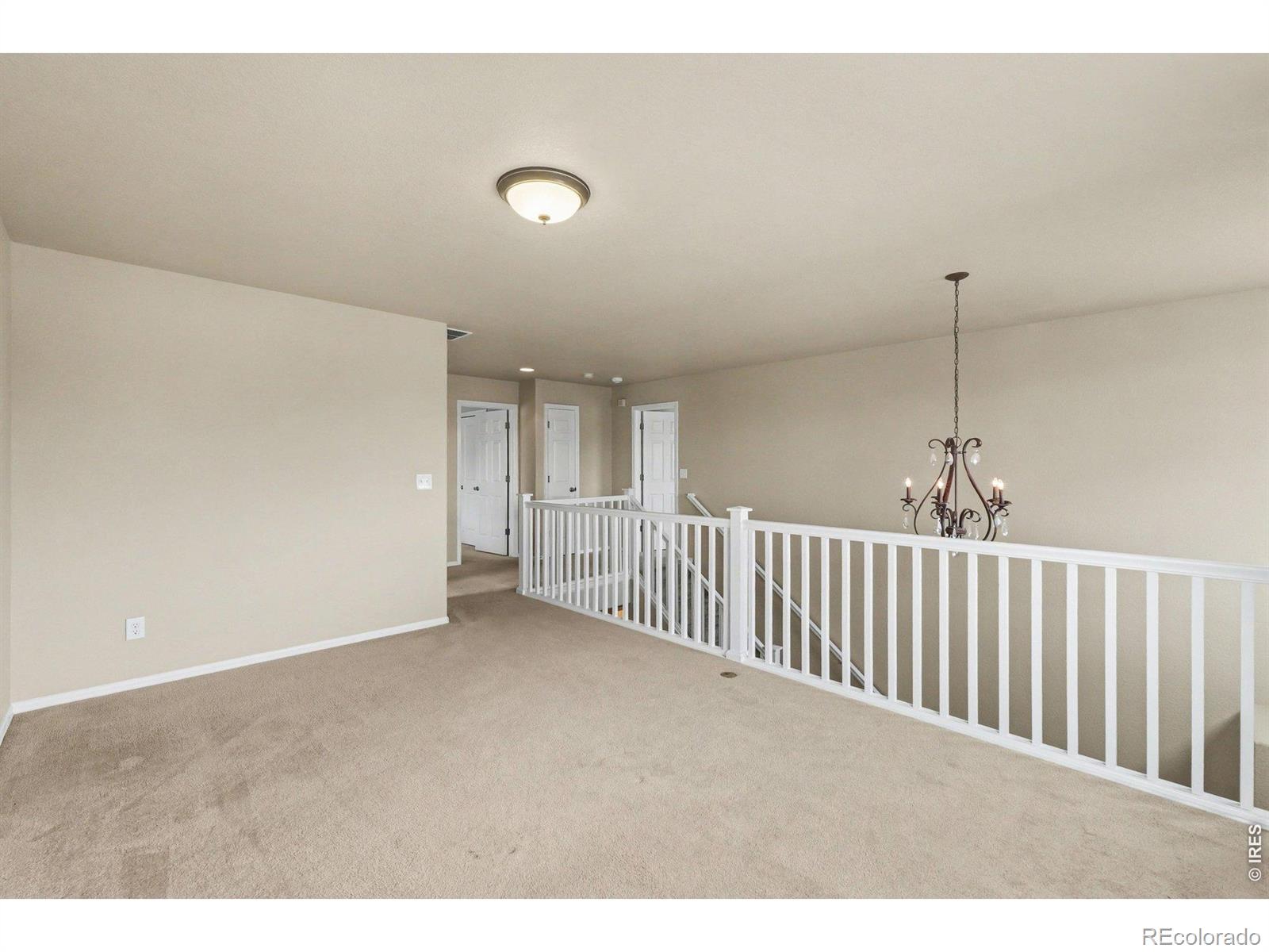 MLS Image #14 for 13003  niagara street,thornton, Colorado