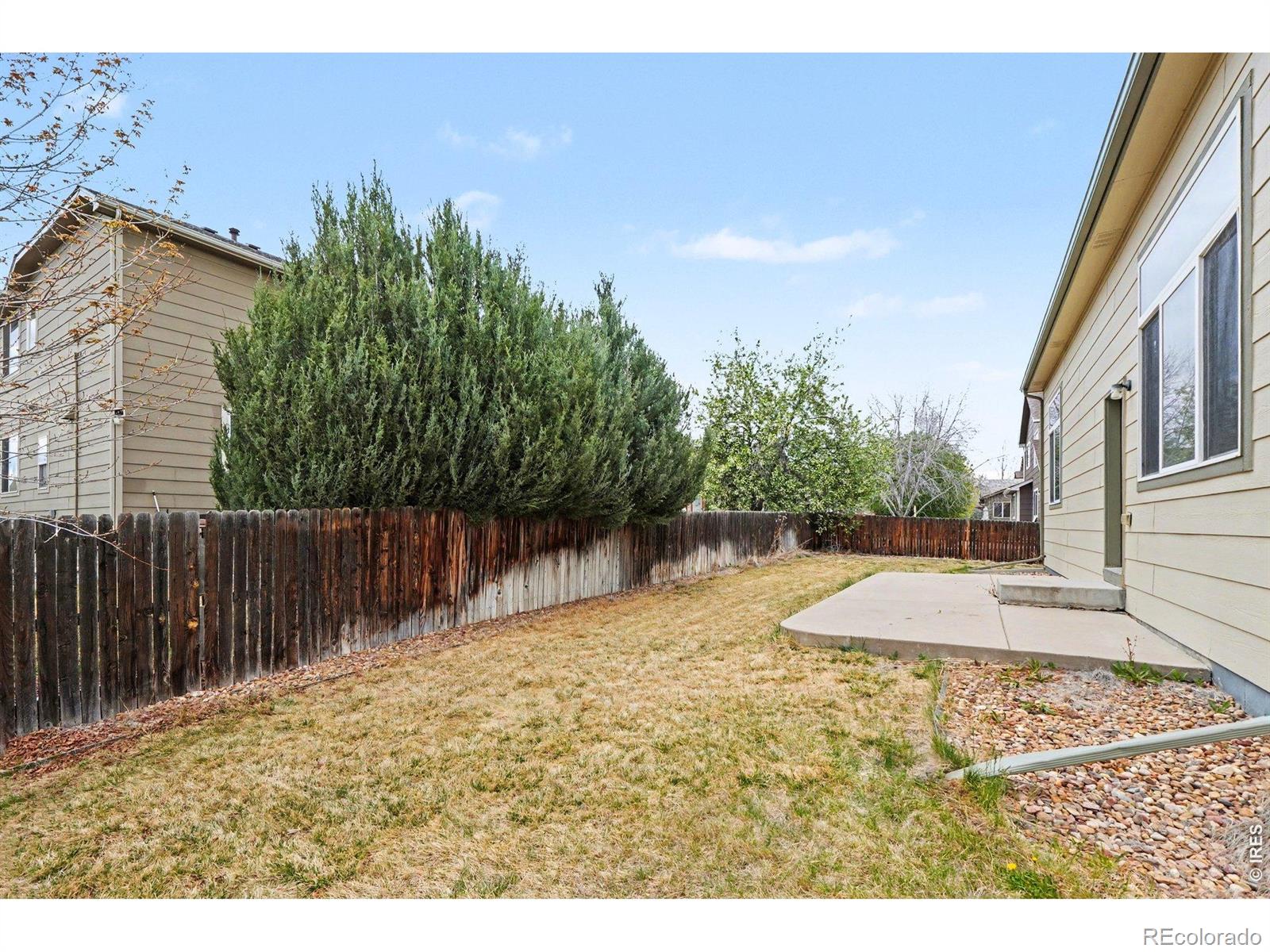 MLS Image #26 for 13003  niagara street,thornton, Colorado