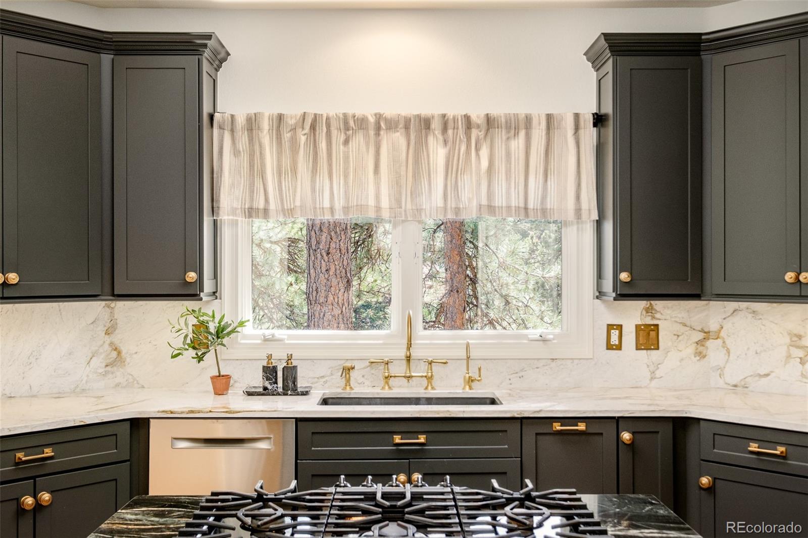 MLS Image #11 for 22184  forest hills drive,golden, Colorado