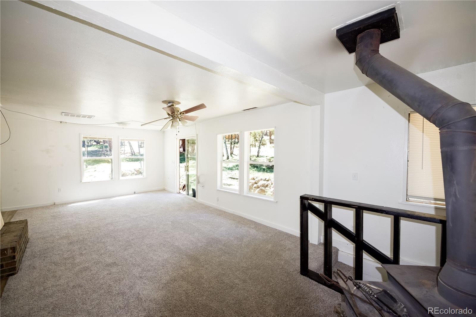 MLS Image #12 for 126  sullivan street,bailey, Colorado