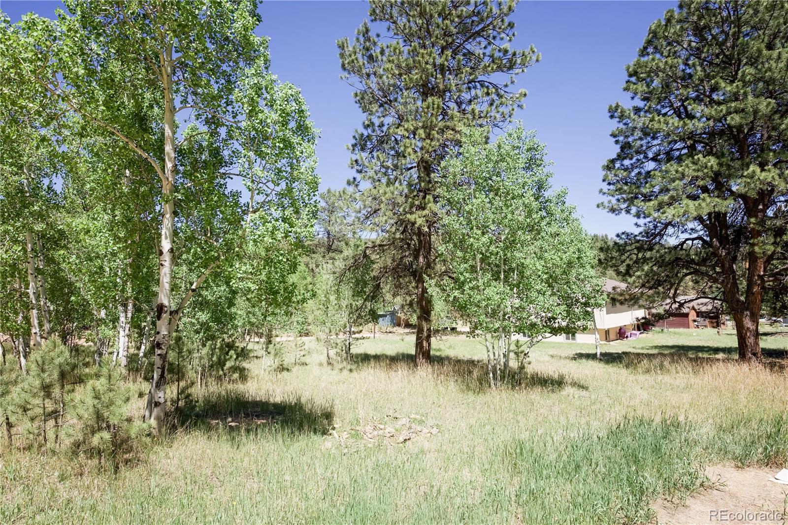 MLS Image #14 for 126  sullivan street,bailey, Colorado