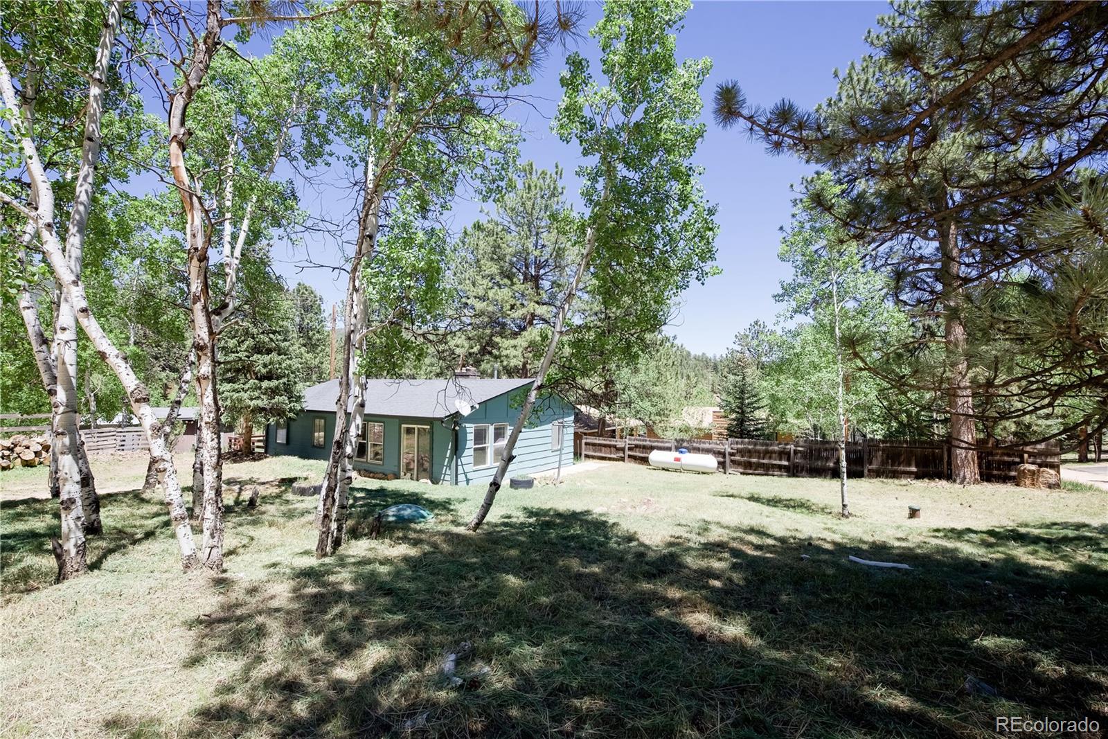 MLS Image #18 for 126  sullivan street,bailey, Colorado