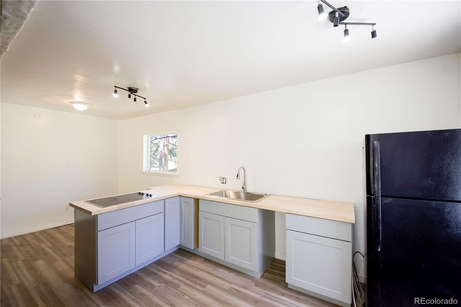 MLS Image #4 for 126  sullivan street,bailey, Colorado