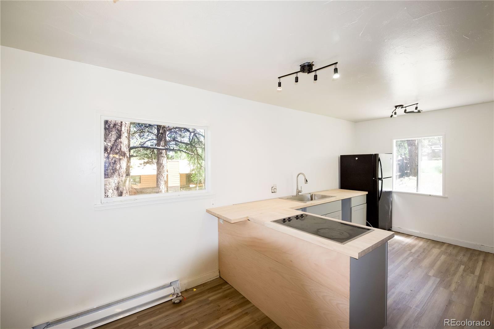 MLS Image #5 for 126  sullivan street,bailey, Colorado