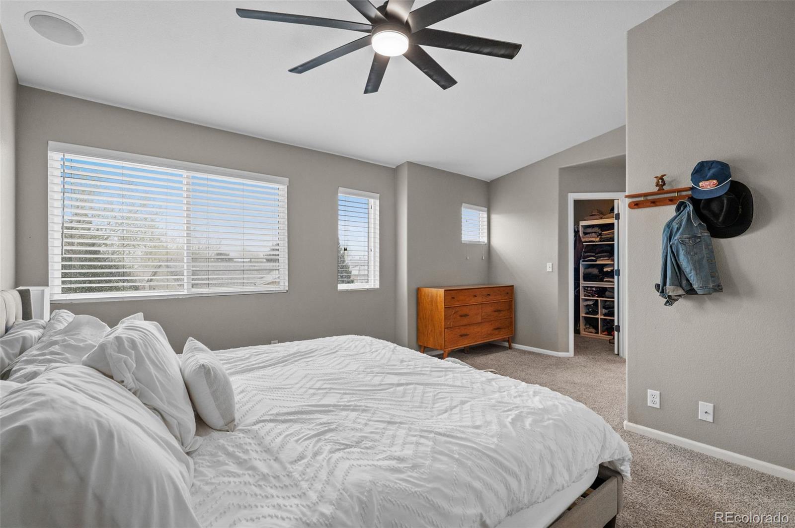 MLS Image #19 for 7123  pine hills way,littleton, Colorado