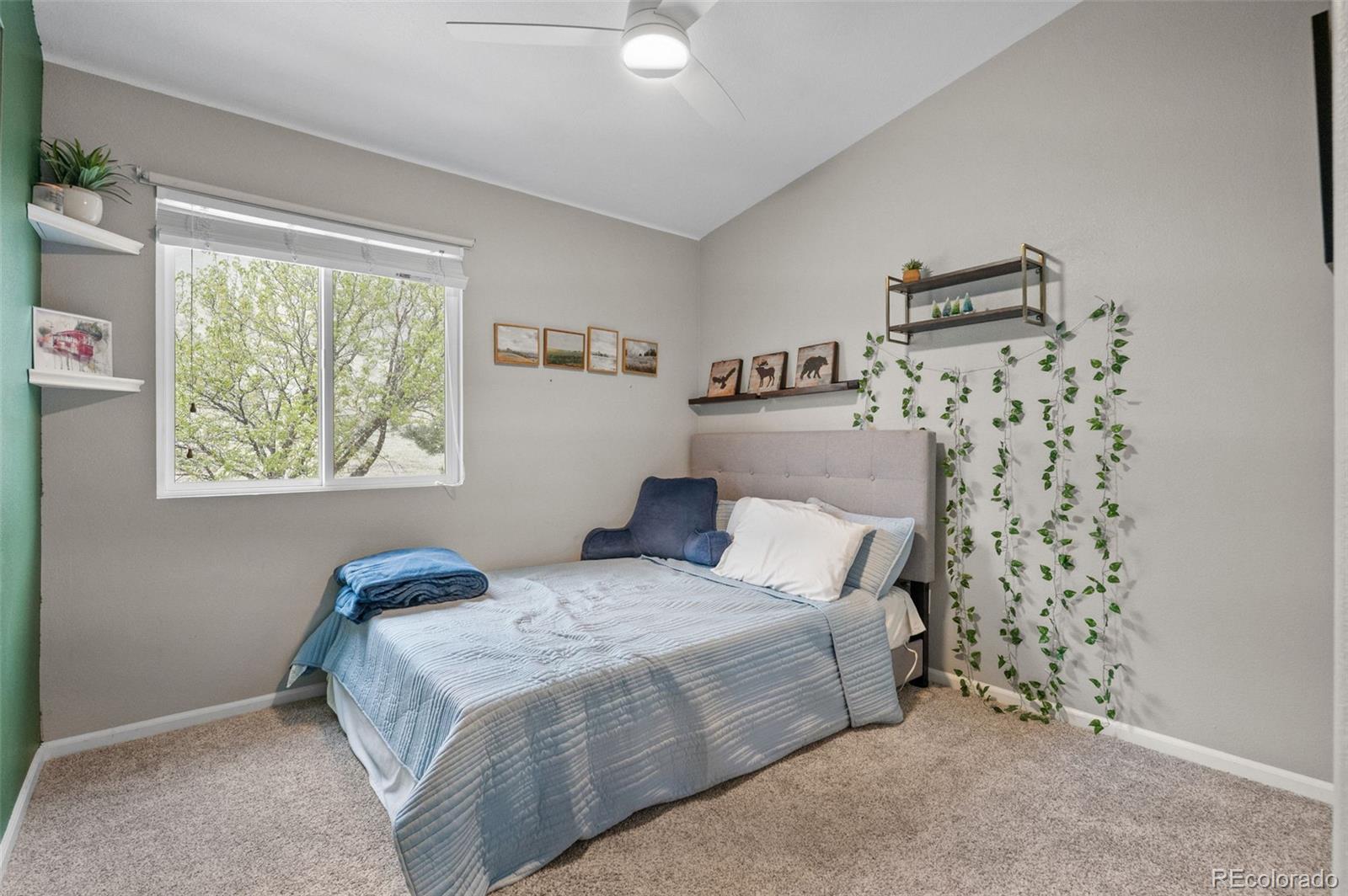 MLS Image #24 for 7123  pine hills way,littleton, Colorado