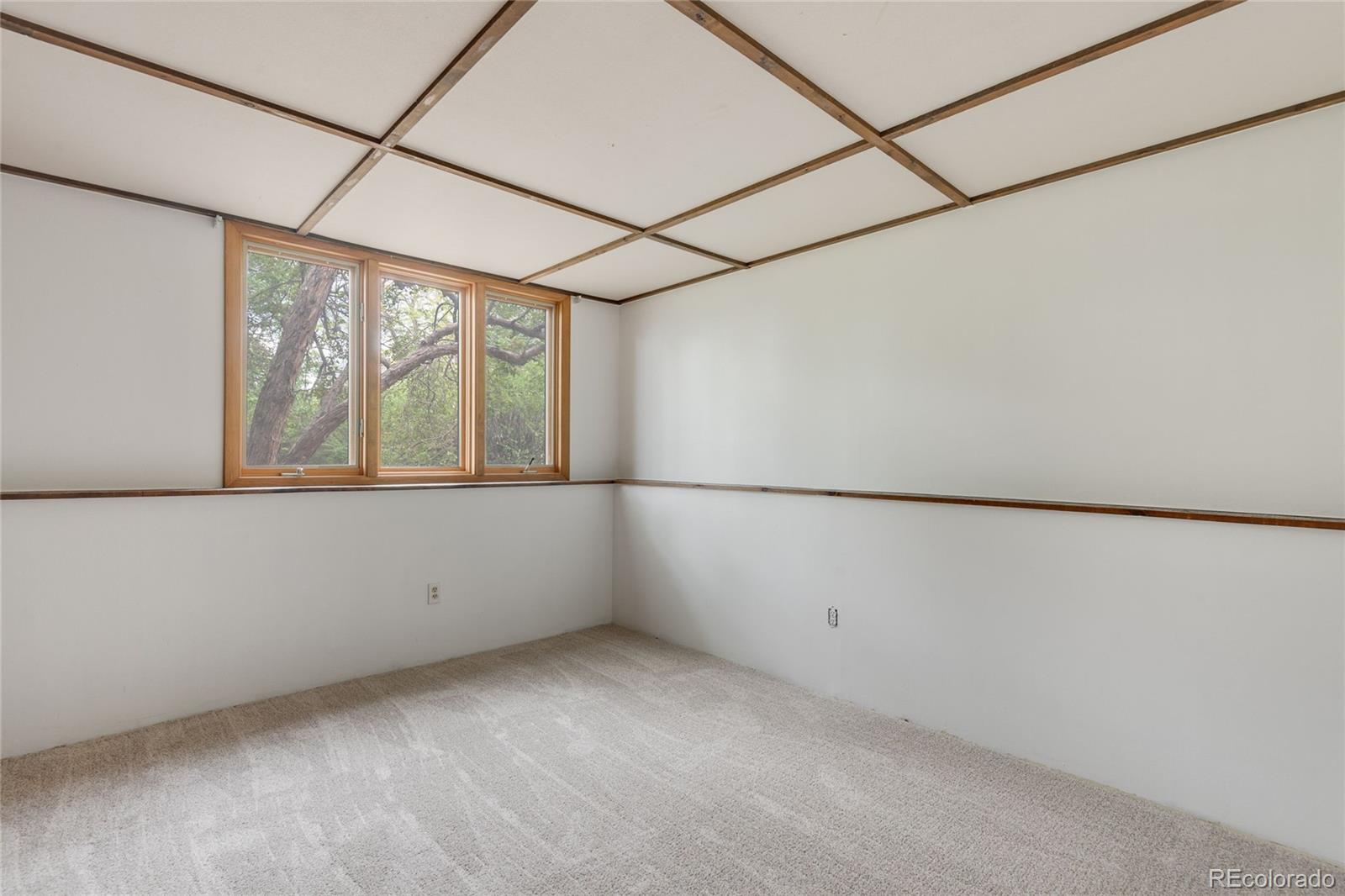MLS Image #20 for 5520  colt drive,longmont, Colorado